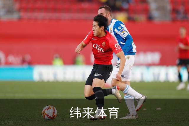 纬来体育公司介绍